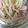 ●これなんだ●'s cooksnap of when they made もやしの酢の物.
