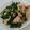 mayu☆com's cooksnap of when they made 春野菜の塩炒め.