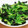 ラブリーらら's cooksnap of when they made 簡単【小松菜と海苔のナムル】.