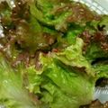ささらんらん's cooksnap of when they made シャッキと蘇る☆サニーレタスの保存の仕方.