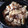 チャッピのにーさん。's cooksnap of when they made 簡単！たけのことわらびの炊き込みご飯.