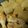 クックRWD0W9☆'s cooksnap of when they made ＊手羽元と大根の甘辛煮＊.
