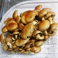 あーちゃんブルーム's cooksnap of when they made なめこの下処理☆.