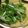 つるpigeonn's cooksnap of when they made 水菜に海苔とごま油でサラダ.