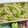 美々☆彡's cooksnap of when they made 超簡単　マカロニサラダ？あっさり編.