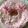 たかこ♬'s cooksnap of when they made 母の日に＊ケーキの飾り＊チョコの花.