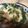 紅緒ちゃん's cooksnap of when they made 簡単！ナスとベーコンのチーズ焼き.