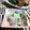 ＴＯＭＯＷＡＴ's cooksnap of when they made カブとゆかりの和え物.