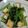 クックI9P2P1☆'s cooksnap of when they made 小松菜のおひたし.