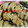 shouko's cooksnap of when they made 我が家の定番焼き餃子.