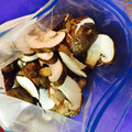 クックBNQ5PD☆'s cooksnap of when they made 椎茸の冷凍保存.