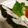 嬉々キリン's cooksnap of when they made おにぎらず.