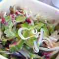 うさびーん。's cooksnap of when they made ゴーヤともやしの梅肉和え.