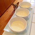 クックLZB01B☆'s cooksnap of when they made 簡単♪５分！　豆乳で手作り豆腐.