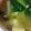 まあみママ's cooksnap of when they made しめじと小松菜のみそ汁.
