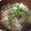 ゆず省's cooksnap of when they made とりがらスープの素と鳥皮の温かいスープ.