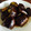 甘酒れんげ's cooksnap of when they made ナスの簡単生姜やき.