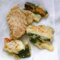 おどふふ's cooksnap of when they made 簡単、簡単「焼きてんぷら」.