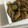 ☆かよつく☆'s cooksnap of when they made 鶏肉とズッキーニーと蓮根のごま炒め.