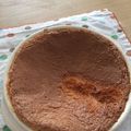 megu_vega's cooksnap of when they made 卵1個グラタン皿でぐりとぐらのカステラ.