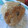 はるか＊ワーママ's cooksnap of when they made 炊き込みご飯～釜揚げしらす～.