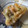 ちゃんこまんさん's cooksnap of when they made たけのこ磯辺揚げ.