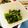 えみぱんまん's cooksnap of when they made ほうれん草胡麻和え (春菊も可).