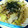 みむ's cooksnap of when they made 桜海老＆レタスのアジアン焼きうどん.