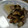 睦月さん's cooksnap of when they made 【アサリ】あさりの洋風酒蒸し【超簡単】.