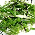 modiri's cooksnap of when they made みずな塩昆布あえ【JAほこた】.