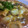 さくりぼ's cooksnap of when they made 水切り不要！我が家の麻婆豆腐♪.