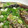 なかやん。。。's cooksnap of when they made 茄子の中華風煮浸し.