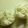 minitora's cooksnap of when they made ＊桃缶で＊桃のヨーグルトアイス＊.