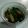 クックMW6GNS☆'s cooksnap of when they made 簡単！薩摩揚げとホウレン草のわさび和え☆.