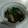 クックMW6GNS☆'s cooksnap of when they made 簡単！薩摩揚げとホウレン草のわさび和え☆.