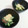 SP♪'s cooksnap of when they made オクラの明太マヨ和え.