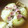 G☆2's cooksnap of when they made 新たまねぎのまるごとスープ.