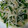 年の差姉妹's cooksnap of when they made もやしとニラの野菜炒め.