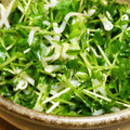 ぶたたろう's cooksnap of when they made 簡単☆豆苗ともやしのナムル.