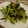 ☆baobab☆'s cooksnap of when they made ビールのつまみに みょうがの和え物.