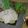 きみきみ♡'s cooksnap of when they made しっとり☆茹で鶏胸肉の香味ソース.