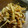 nahosahoママ's cooksnap of when they made 簡単！便利！切り干し大根の漬け物☆.