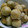 ぺろっぽ's cooksnap of when they made 煮るだけ☆簡単　里芋の煮っころがし.