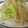海芽絵留's cooksnap of when they made 5分で☆もやしとレタスのかにかまサラダ.
