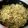 かいたん・ω・'s cooksnap of when they made 塩焼きそば.
