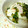 キョク's cooksnap of when they made 揚げ焼き玉子丼♪.