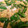 ayumama77's cooksnap of when they made 絹さや・えんどう豆の塩卵とじ.