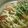 ranmao☆'s cooksnap of when they made 大根消費に♡ちょい辛なお好み焼き♪.