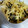 クック2GGM5K☆'s cooksnap of when they made レンジで簡単！新玉ねぎ＆えのき＆塩昆布.