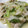 Ｍぱん's cooksnap of when they made 野菜たっぷりの野菜炒め.